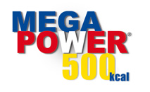 MegaPower500Logo